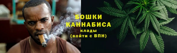 прущие грибы Приозерск