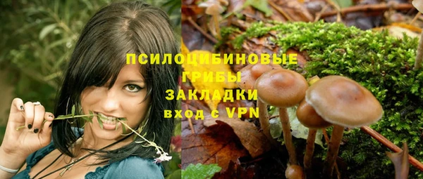 кокс Дубна