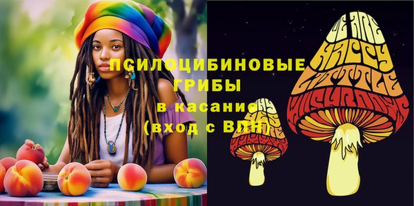 гидра Дрезна