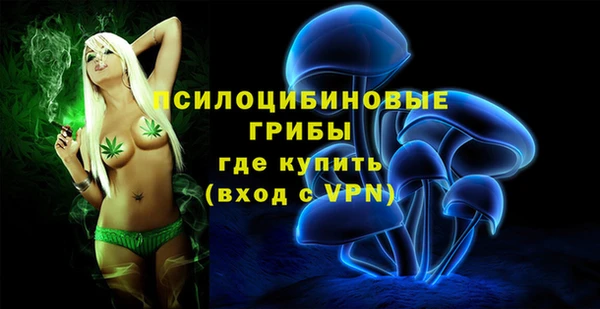 кокс Дубна