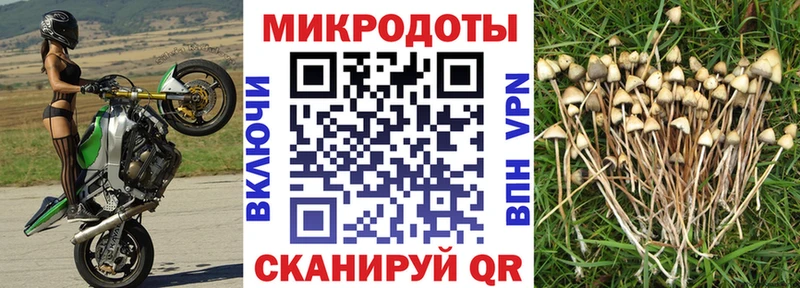 купить наркоту  Луховицы  Псилоцибиновые грибы мухоморы 