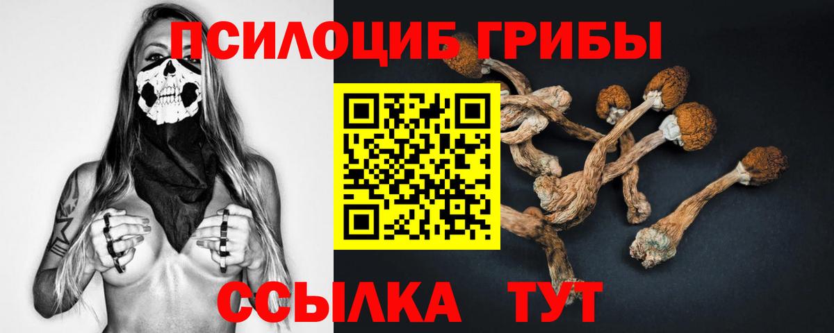 Псилоцибиновые грибы Magic Shrooms  Вход с VPN  Луховицы 